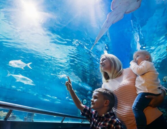 Hurghada Grand aquarium [€35]